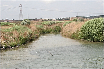 Anteprima - Clicca per ingrandire